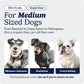 Midwest 30-Inch Single Door iCrate, for Medium Breeds, 21-40 lbs