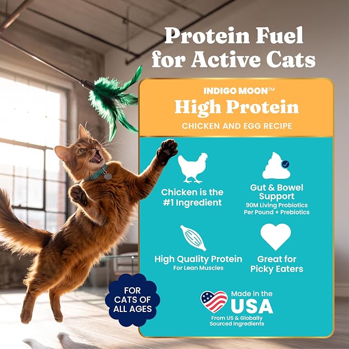 Solid Gold High Protein Chicken Dry Cat Food, for Cats & Kittens, 6lb