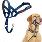 Halti Headcollar | Size 3, Cobalt Blue | Training Collar for Medium Dogs