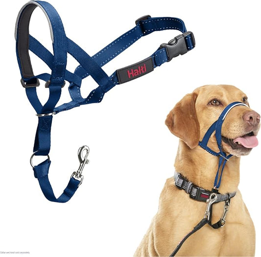 Halti Headcollar | Size 3, Cobalt Blue | Training Collar for Medium Dogs