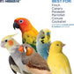 Prevue Pet Products Naturals Preen & Pacify Woodland Harvest Bird Toy