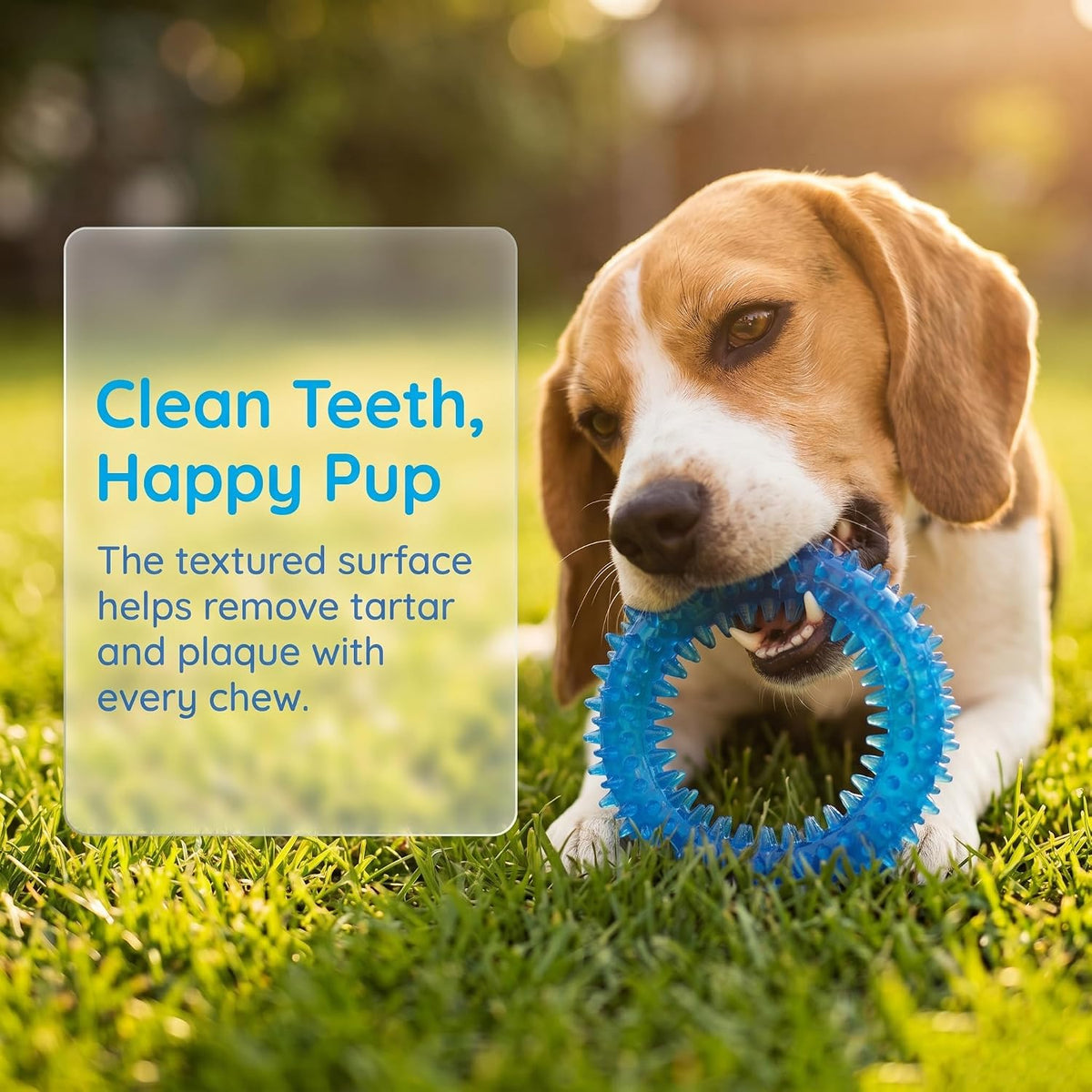 Beiker 20 Pack Puppy Chew Toys, Dog Teething Toys for Puppies Small Dogs