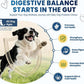 Probiotics for Dogs, Dog Probiotics Chews for Digestive Health &Gut Health