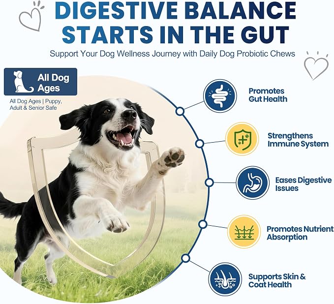 Probiotics for Dogs, Dog Probiotics Chews for Digestive Health &Gut Health