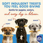 Himalayan Dog Chew Yogurt Sticks, Probiotic Dog Treats, Original, 5 Treats