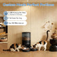 Sweetcrispy Automatic Cat Feeder for 2 Cats, 6L Automatic Pet Feeder