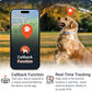 PAJ Dog GPS Tracker 3-Month Subscription Included, Real-time Pet Tracking