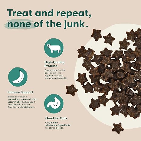 Jinx Dog Training Treats, Bite-Sized Training Treats for Dogs, Beef, 16oz