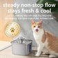 Veken Innovation Award Winner Stainless Steel Cat Water Fountain, 108oz, C1