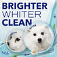 TropiClean SPA Tear Stain Remover for Dogs, Blueberry Facial Shampoo, 8oz