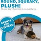 Outward Hound Hedgehogz Plush Dog Toy, Squeaks & Grunts, Medium, 9" x 6.5"