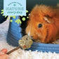 Oxbow Timbells, Rabbit Toys & Guinea Pig Chew Toys, Timothy Hay Bunny Chew