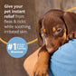 Veterinary Formula Flea and Tick Shampoo for Dogs and Cats, 16 oz