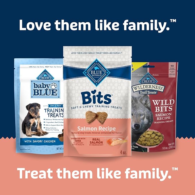 Blue Buffalo Bits Salmon Training Treats, 4 oz