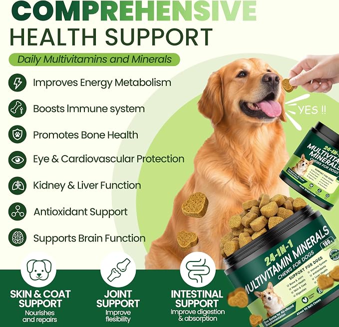 24-in-1 Dog Vitamins and Supplements, Dog Multivitamin Chewable for All Dog