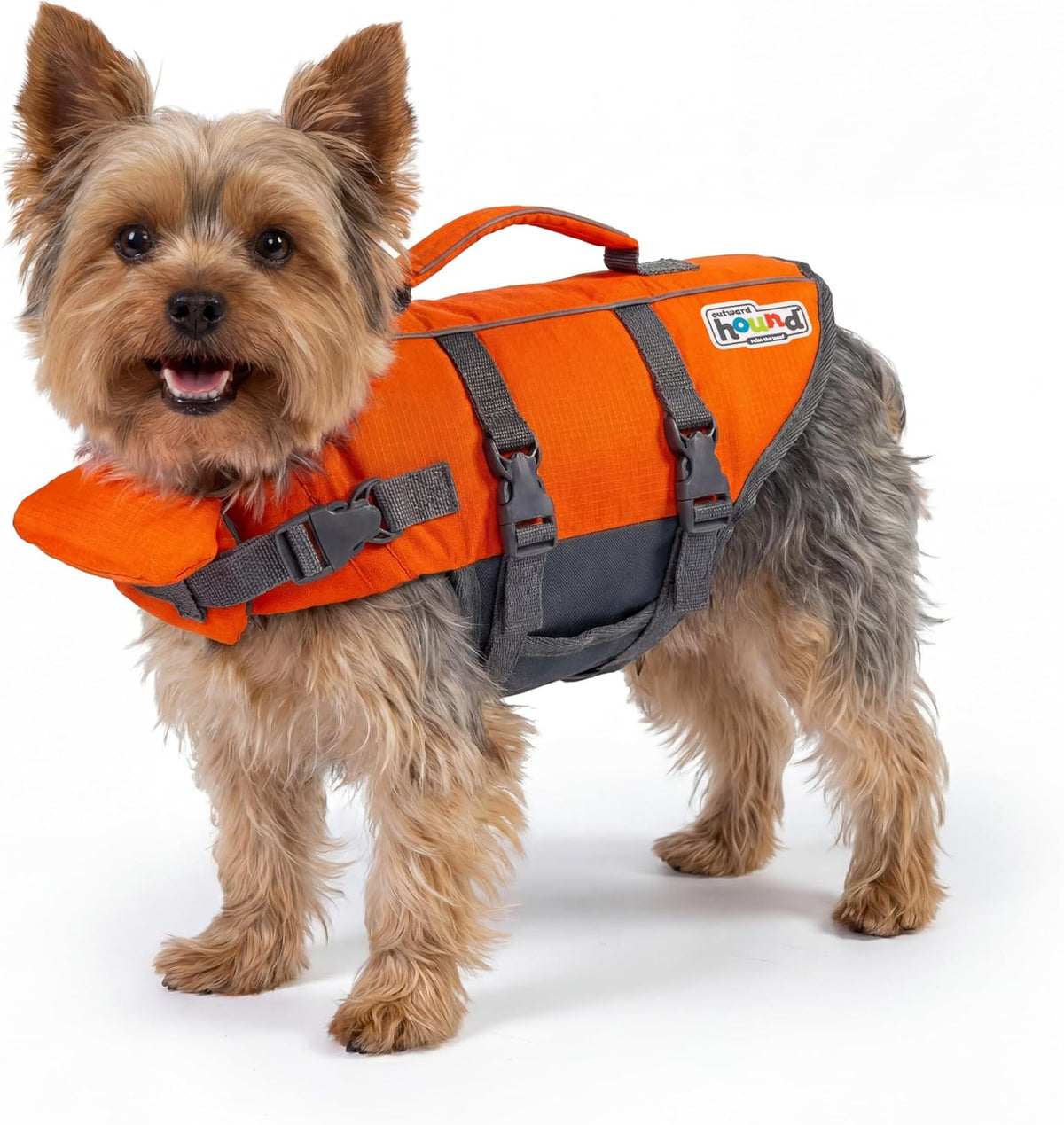 Outward Hound Granby Splash Dog Life Jacket, Life Vest, Orange, X-Small