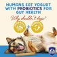 Himalayan Dog Chew Yogurt Sticks, Probiotic Dog Treats, Original, 5 Treats