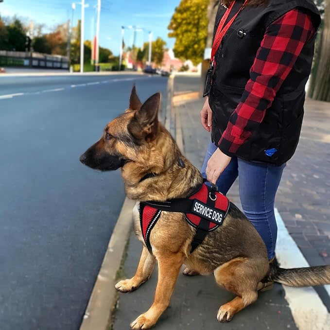 ActiveDogs Full Service Dog Kit with Service Dog Vest Harness & ID Holder