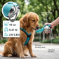 Portable Dog Water Bottle with Bowl, 10oz Leak-Proof Stainless Steel Dog Travel Water Bottle, BPA-Free Pet Water Dispenser for Small & Medium Dogs, Walking, Hiking & Outdoor Travel