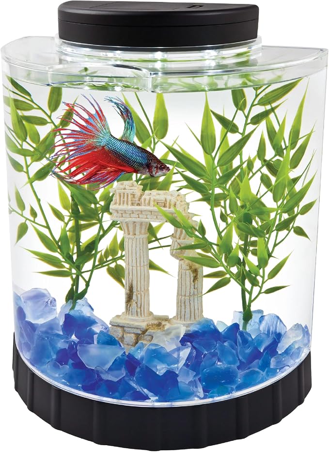 Tetra LED Half Moon 1.1 Gallon Fish Tank Kit for Betta Fish