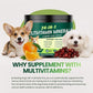 24-in-1 Dog Vitamins and Supplements, Dog Multivitamin Chewable for All Dog