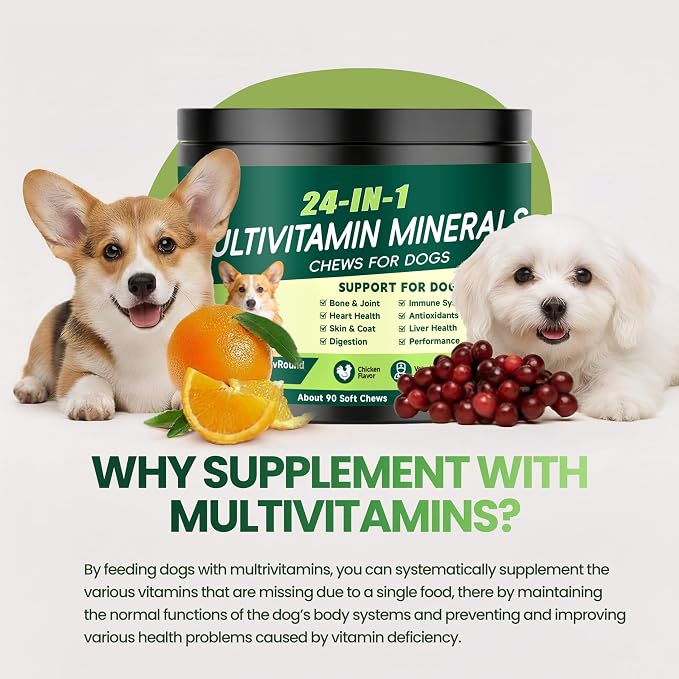 24-in-1 Dog Vitamins and Supplements, Dog Multivitamin Chewable for All Dog