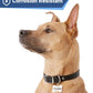 GoTags Stainless Steel Pet ID Tags, Personalized Dog Tags and Cat Tags