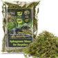 Sukh Sphagnum Moss for Reptiles - Green Terrarium Moss Substrate, 5oz