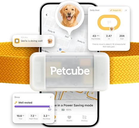 Petcube GPS Tracker for Dogs – Real-Time GPS Tracking