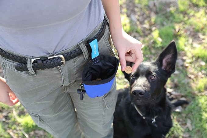Chuckit! Treat Tote Dog Treat Pouch for Puppy Training, 1 Cup