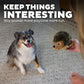 Outward Hound Hedgehogz Plush Dog Toy, Squeaks & Grunts, Medium, 9" x 6.5"
