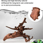 majoywoo Natural Driftwood for Aquarium Decor Fish Tank Decor Reptile Decor