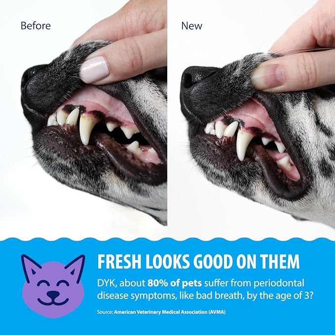 Dental Fresh Advanced Plaque & Tartar Water Additive for Dogs & Cats, 17 oz