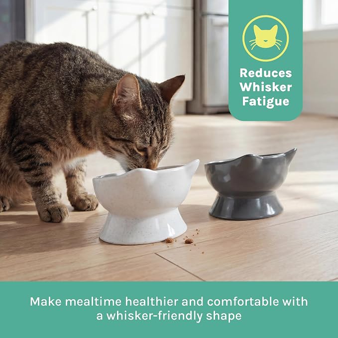 Kitty City Elevated Cat Bowls (Set of 2), Whisker-Friendly Raised Cat Food & Water Dishes, Modern Pedestal Design, Dishwasher Safe, 6.5 oz Each – White & Gray