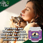The Gift for Life Feline: Prrr-fect Wellness - Your Pet's Fountain of Youth!