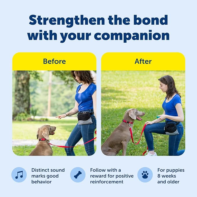 PetSafe Clik-R Dog Training Clicker, Blue