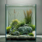 Vimvins 2 Gallon Glass Fish Tank, Easy to Maintain Small Aquarium for Betta/Snails/Shrimp and Aquatic Planting.