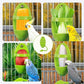 2pcs Cuttlebone Holder for Bird Cage, Plastic Food Holder for Cuttlebone for Birds, Parakeets, Cockatiels, Budgies and Finches - Cuddle Bones Feeding Rack