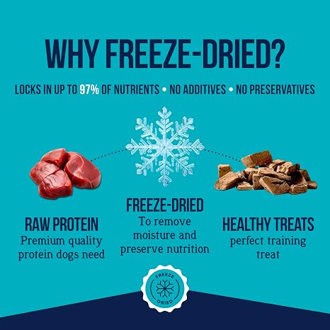 Stewart Freeze Dried Dog Treats, 100% Beef Liver, 21 oz Tub
