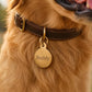 Personalized Solid Brass Dog Tag, Custom Deep Engraved Pet Tags