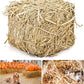 Natural Straw Bale for Cat Shelter – 8"x8"x8"Soft & Dry Straw Bedding for Cats, Feral Cats & Small Animals | Decorative Hay Bale for Outdoor Use, Farm Décor, Garden Straw & Pet Bedding (1)