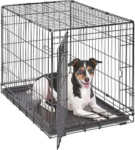 Midwest 30-Inch Single Door iCrate, for Medium Breeds, 21-40 lbs