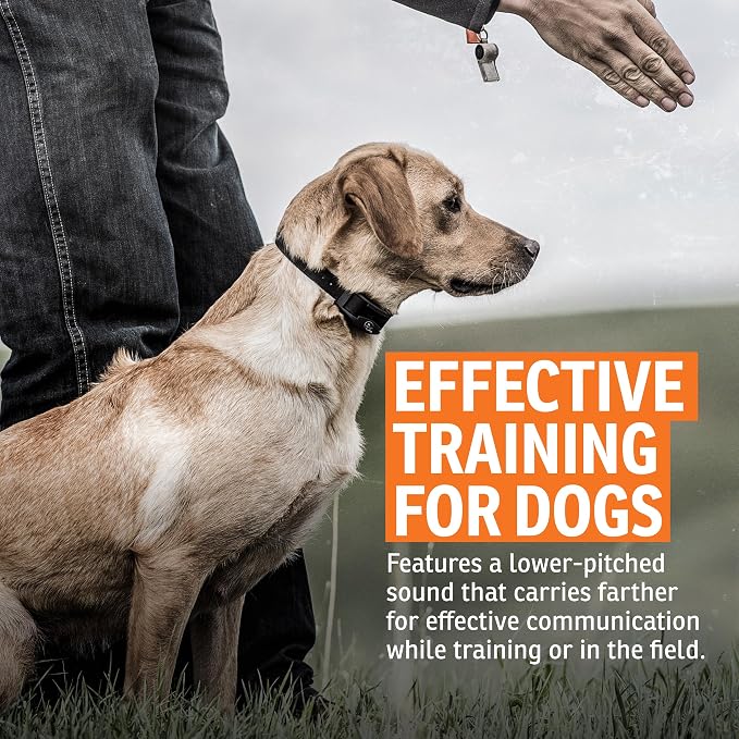 SportDOG Roy Gonia Special Whistle - Orange with Pea