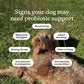 PetLab Co. - Dog Ear Yeast Bundle: Soft Chew Dog Probiotics for Gut Health, Yeast Production, Itchy Ears, Itchy Skin, Seasonal Allergies & Clear Ears Therapy Ear Cleaner for Dogs