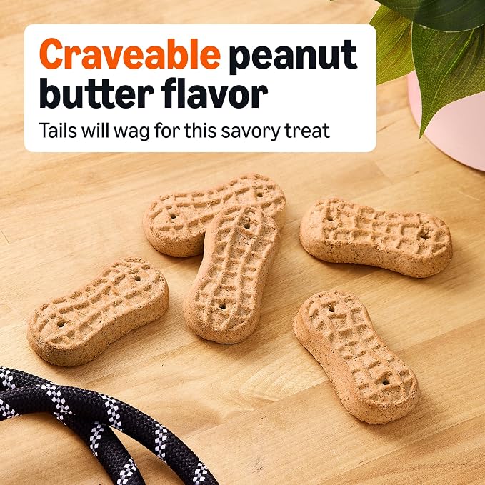 Amazon Basics Crunchy Dog Biscuits Peanut Butter Flavor Dog Treats 5 lb. Box