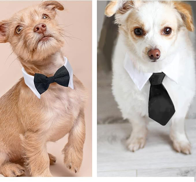 Pet Bowtie and Necktie Set with Adjustable Tuxedo Collar, Pack of 2 Pet Accessories Costume for Small Medium Cat and Dogs (Black)